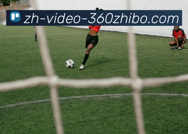 数据防护可视化